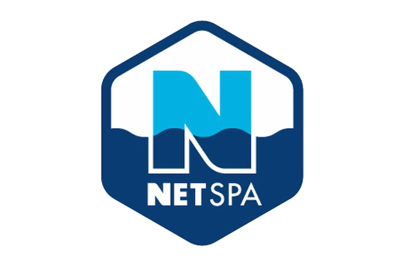 logo van Netspa